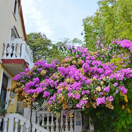 Vivoda Apartament